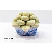 彩虹动漫——陶瓷作品